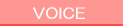 VOICE